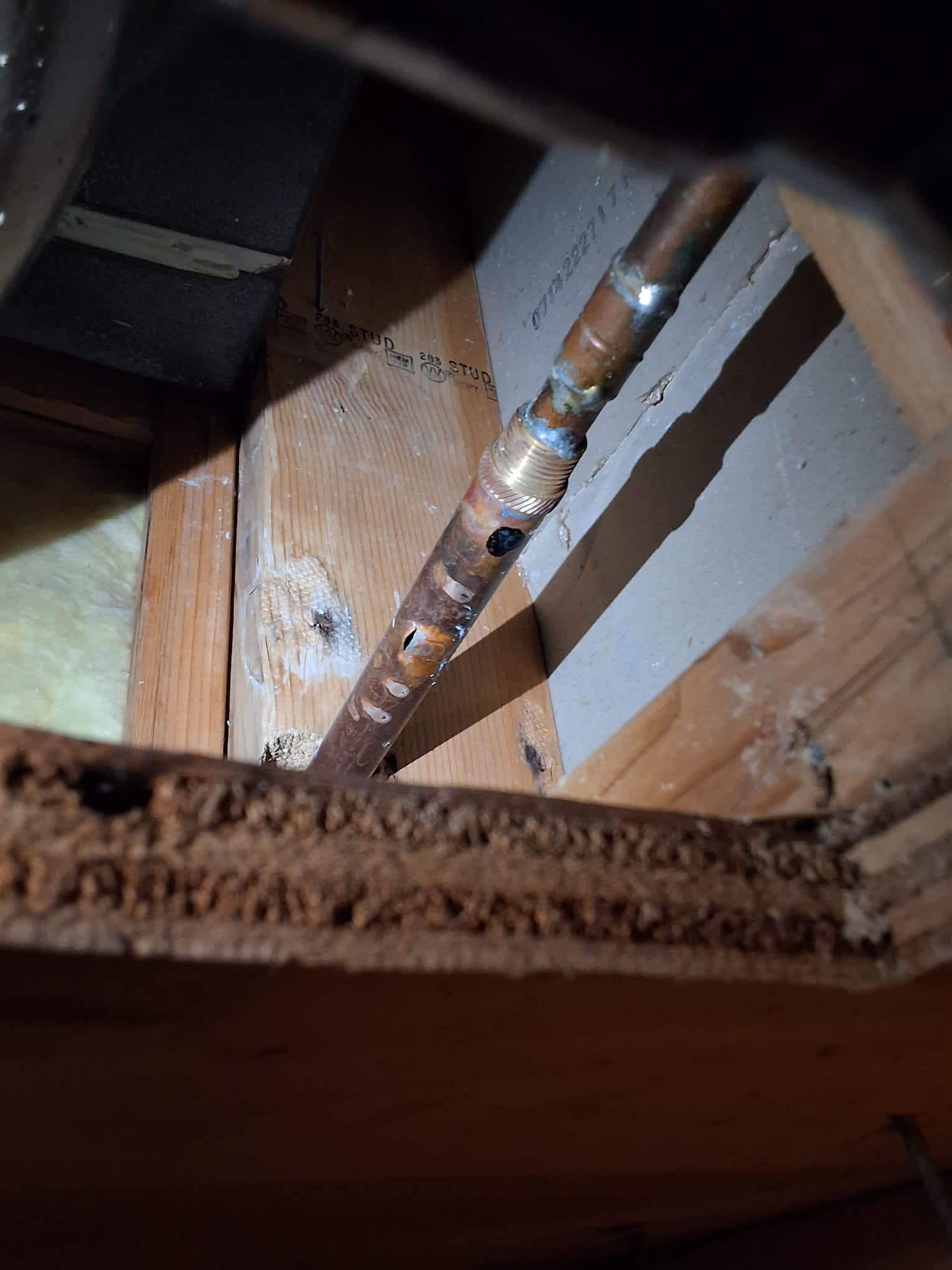 WireNut Home Services is your trusted partner for addressing complex plumbing issues with finesse and expertise.