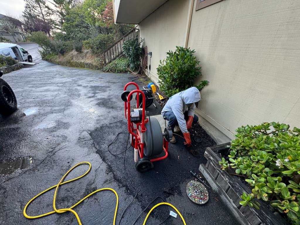 Dependable, on-time drain service with careful craftsmanship from Big Island Plumbing, shown here tackling a residential clog efficiently.