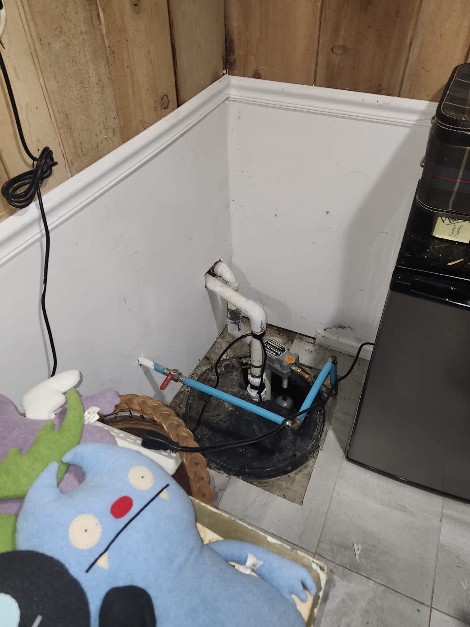 Service Professionals offers reliable sump pump installations to keep your basement dry and safe, showcasing their expert workmanship in every detail.