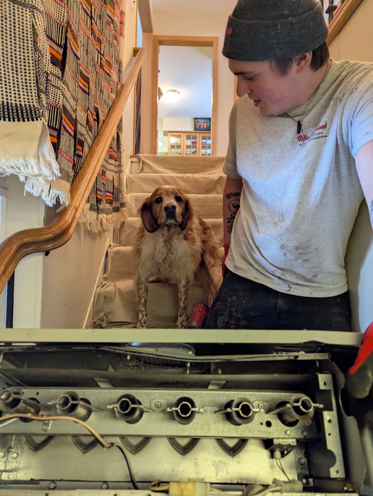 Experience friendly and reliable service with Mrs. Michael Plumbers, Electricians, and HVAC Technicians, where every visit feels like a walk in the park—literally!