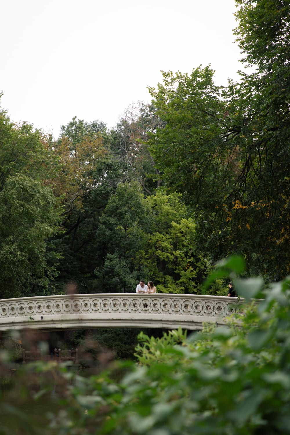 Bow Bridge in Central Park framed by leaves
