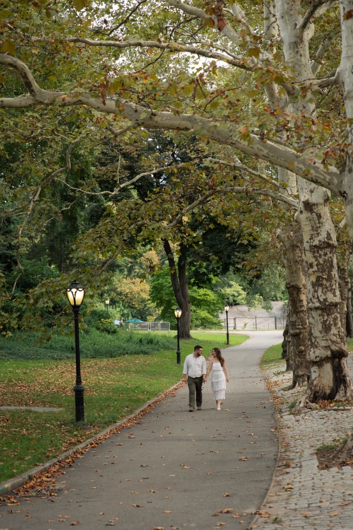 A family walking down a tree-lined path in the park