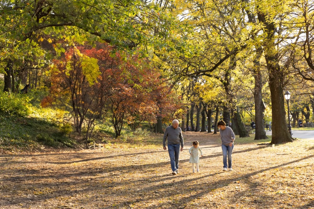 A family walking hand in hand with their little girl down a sunlit path under the trees