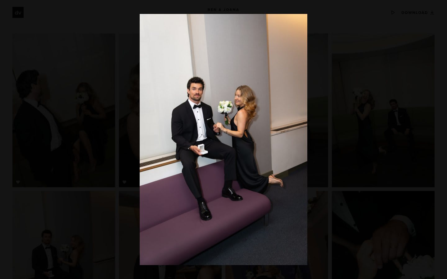 A single photo open full screen in the gallery