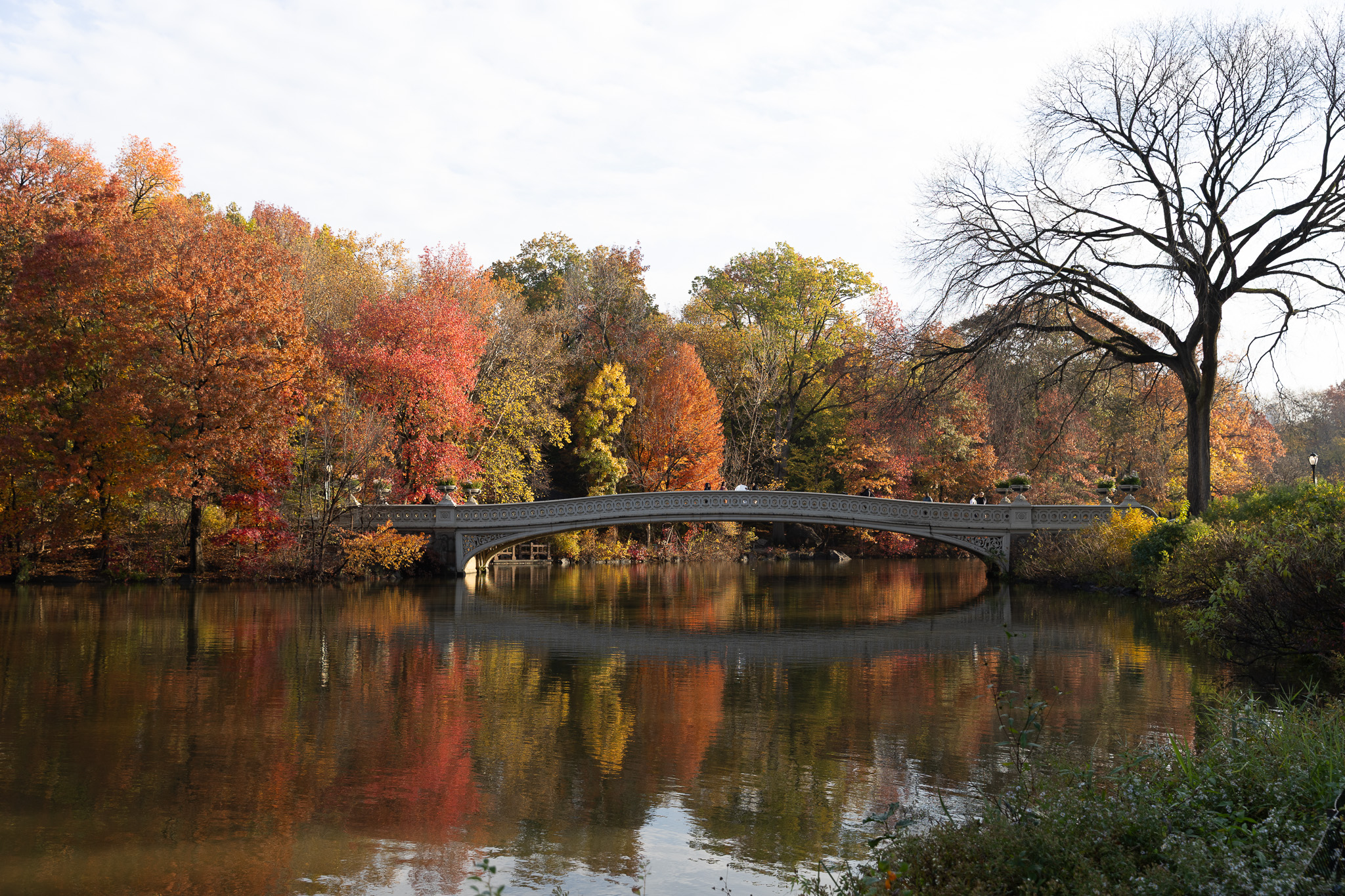 Bow Bridge in Central Park, cast iron railing curving over the Lake