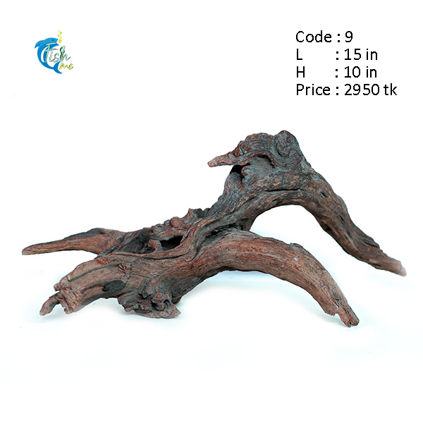 Iron Wood : 09