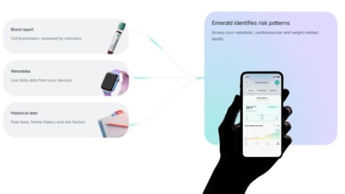 Emerald Raises €1.66 Million to Expand AI-Powered Preventive Healthcare Across the UK