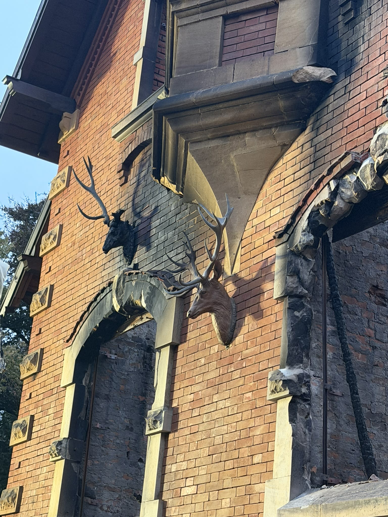 grossbrand_am_06102025_19_ldotm1