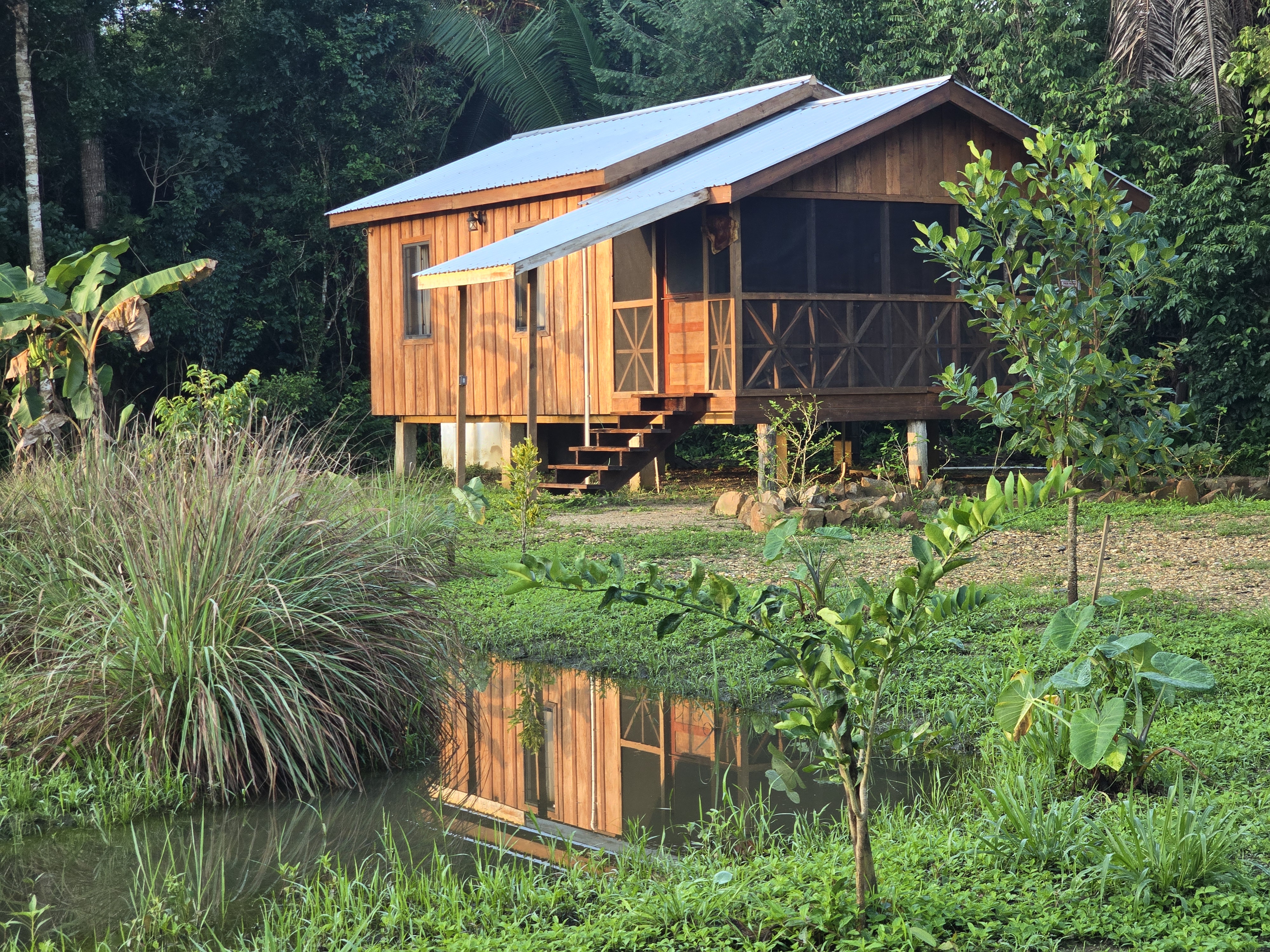 Hibiscus Cabin