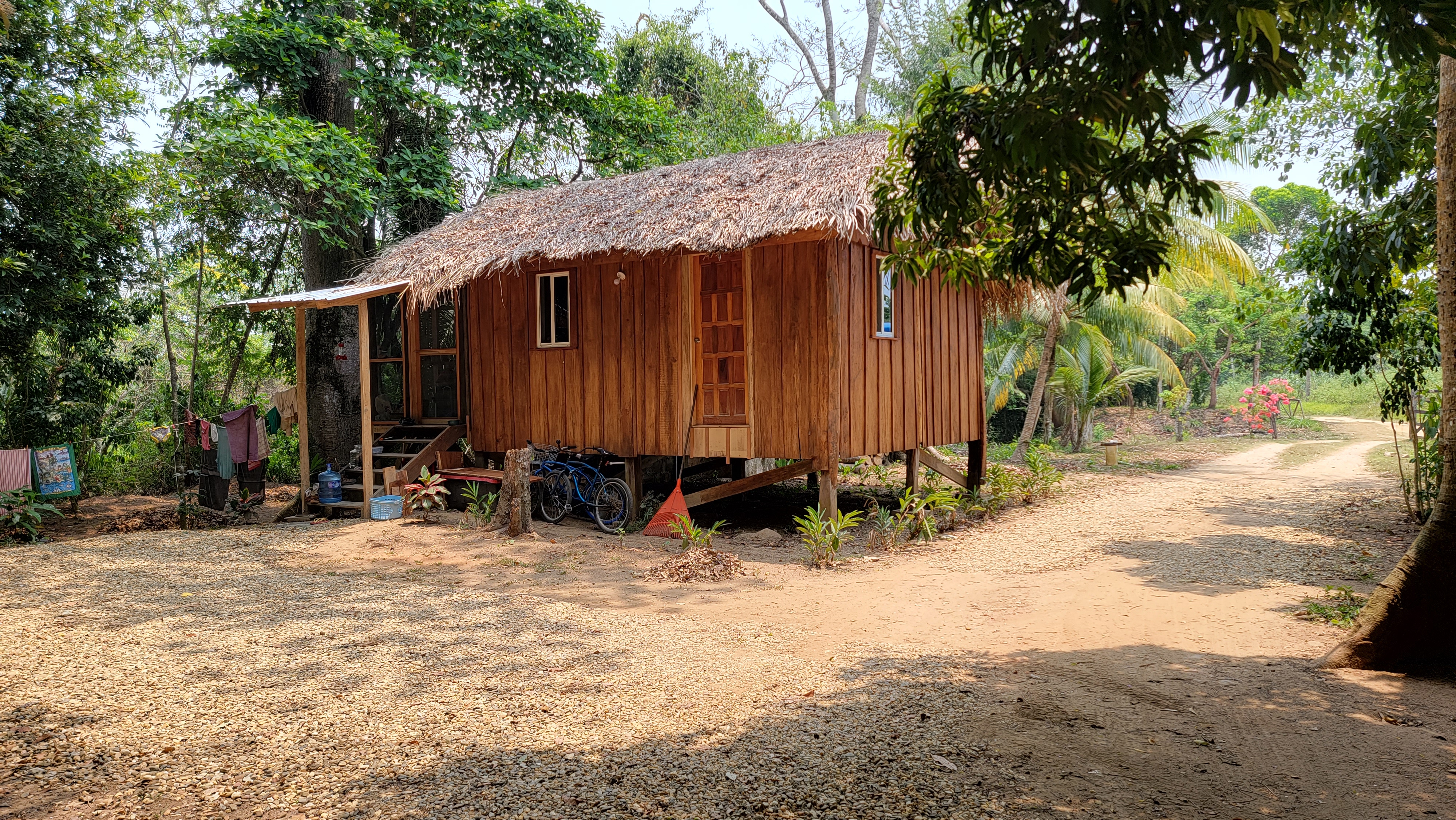 Cotton Tree Cabin