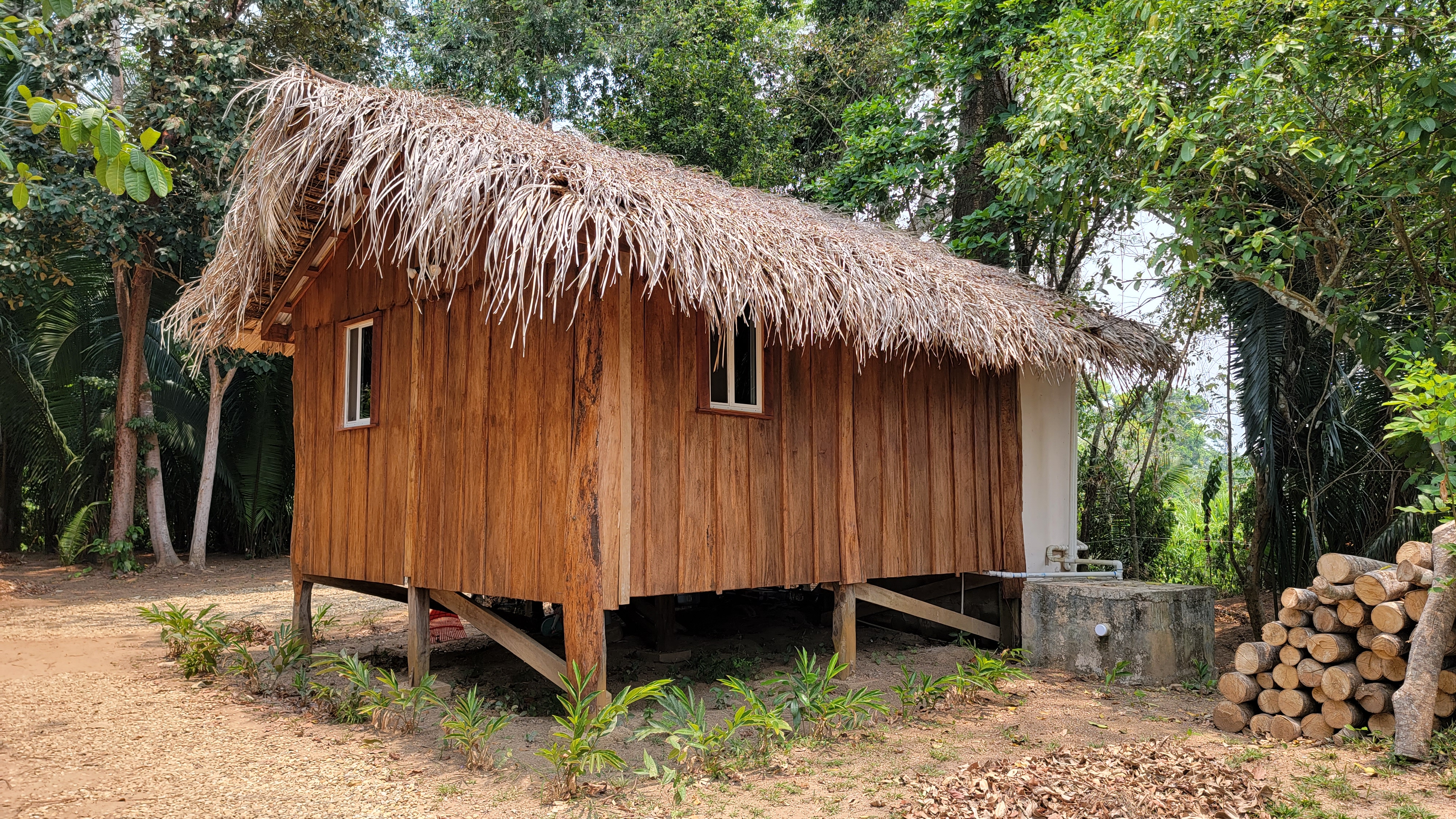 Cotton Tree Cabin