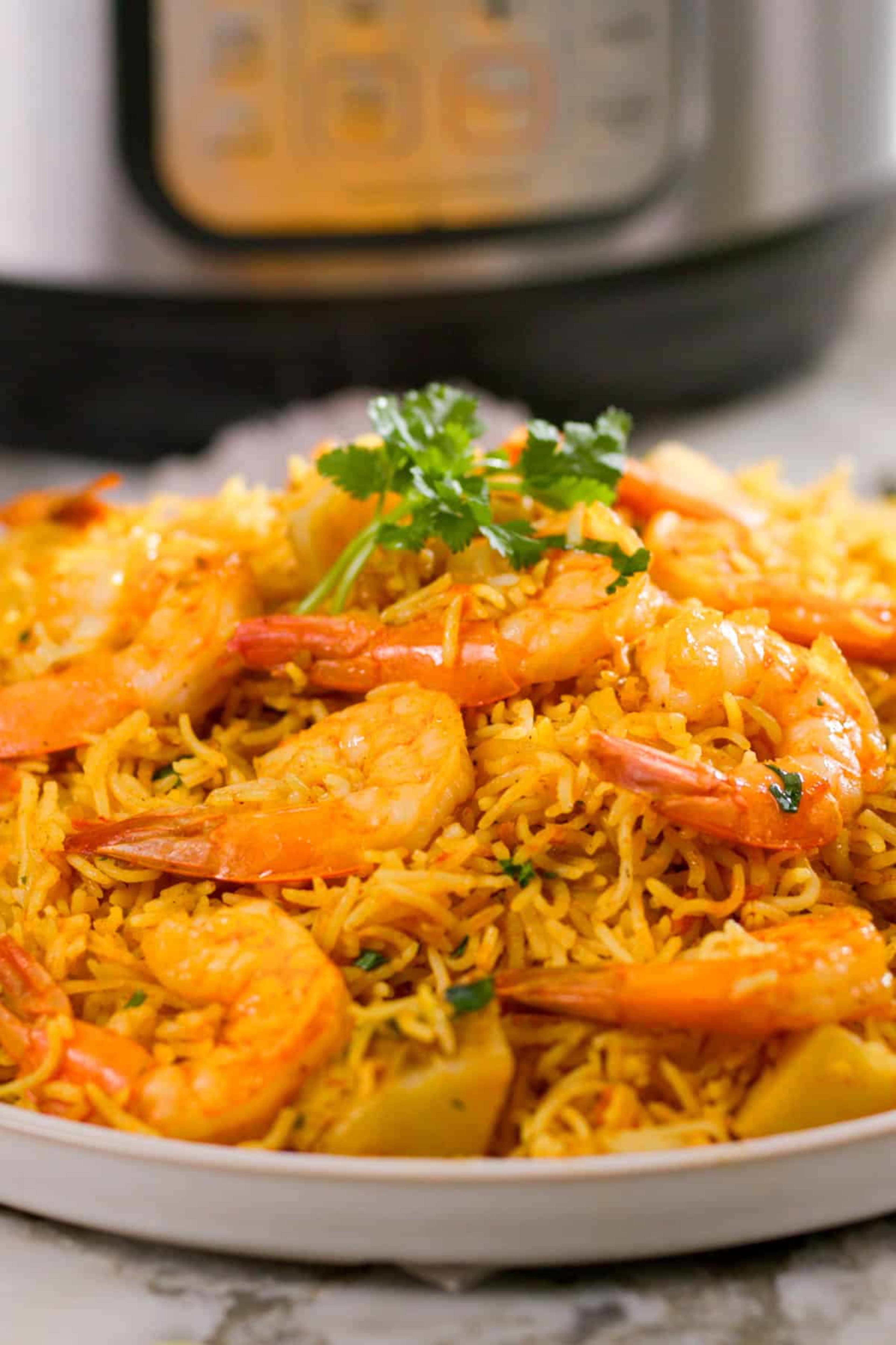 Vijayawada Shrimp Biryani