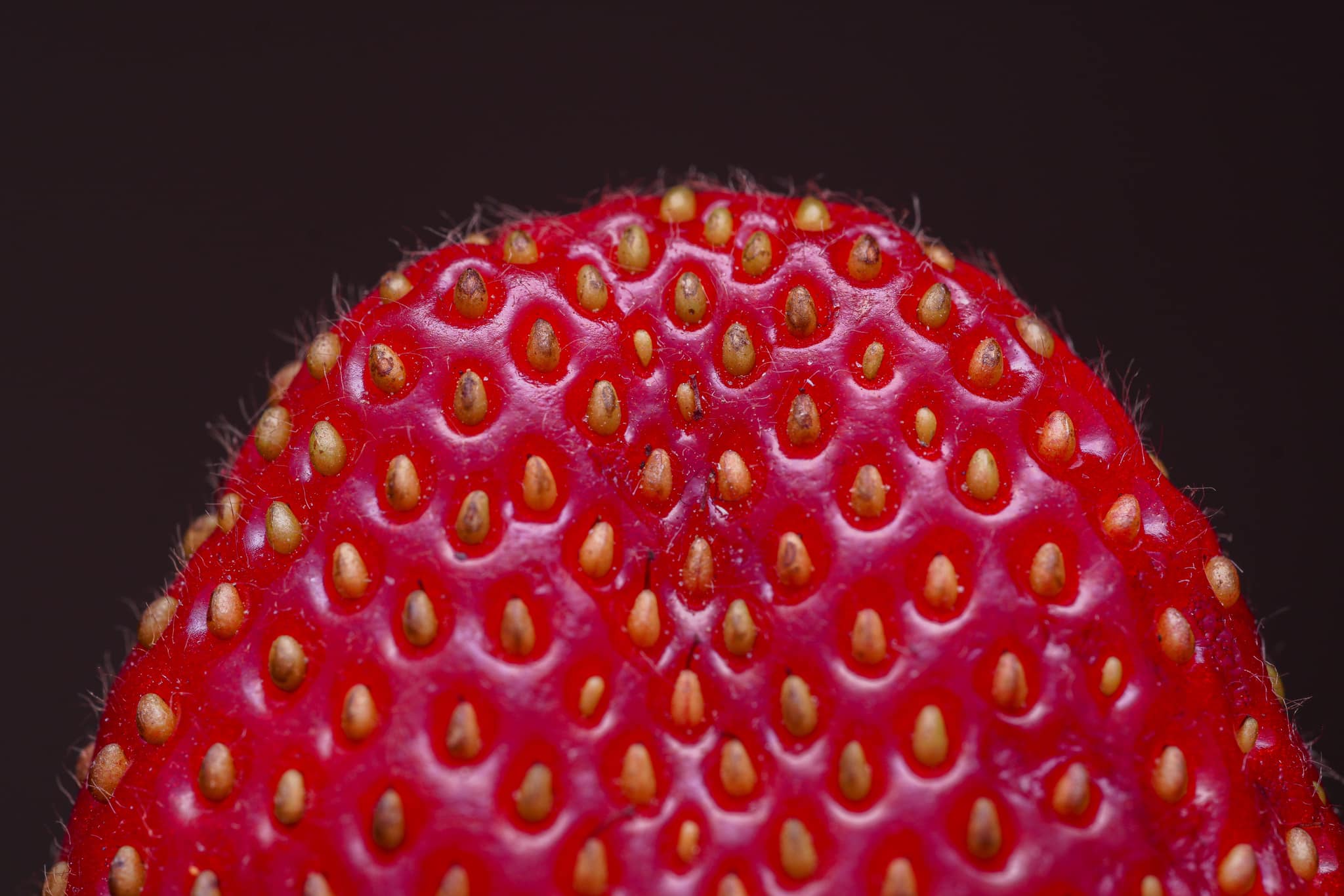 Extreme Macro