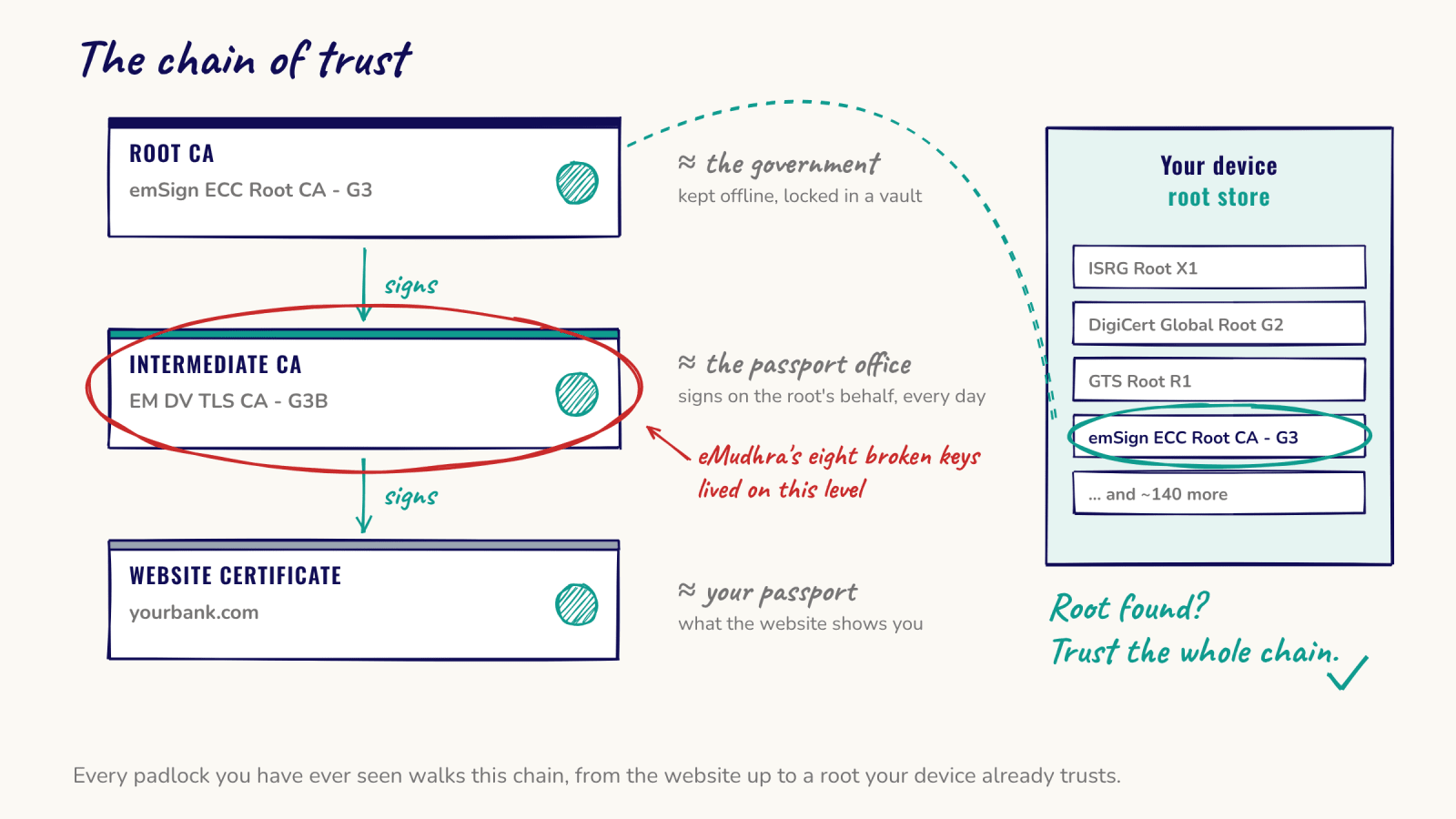 The chain of trust, from root CA to intermediate CA to website certificate