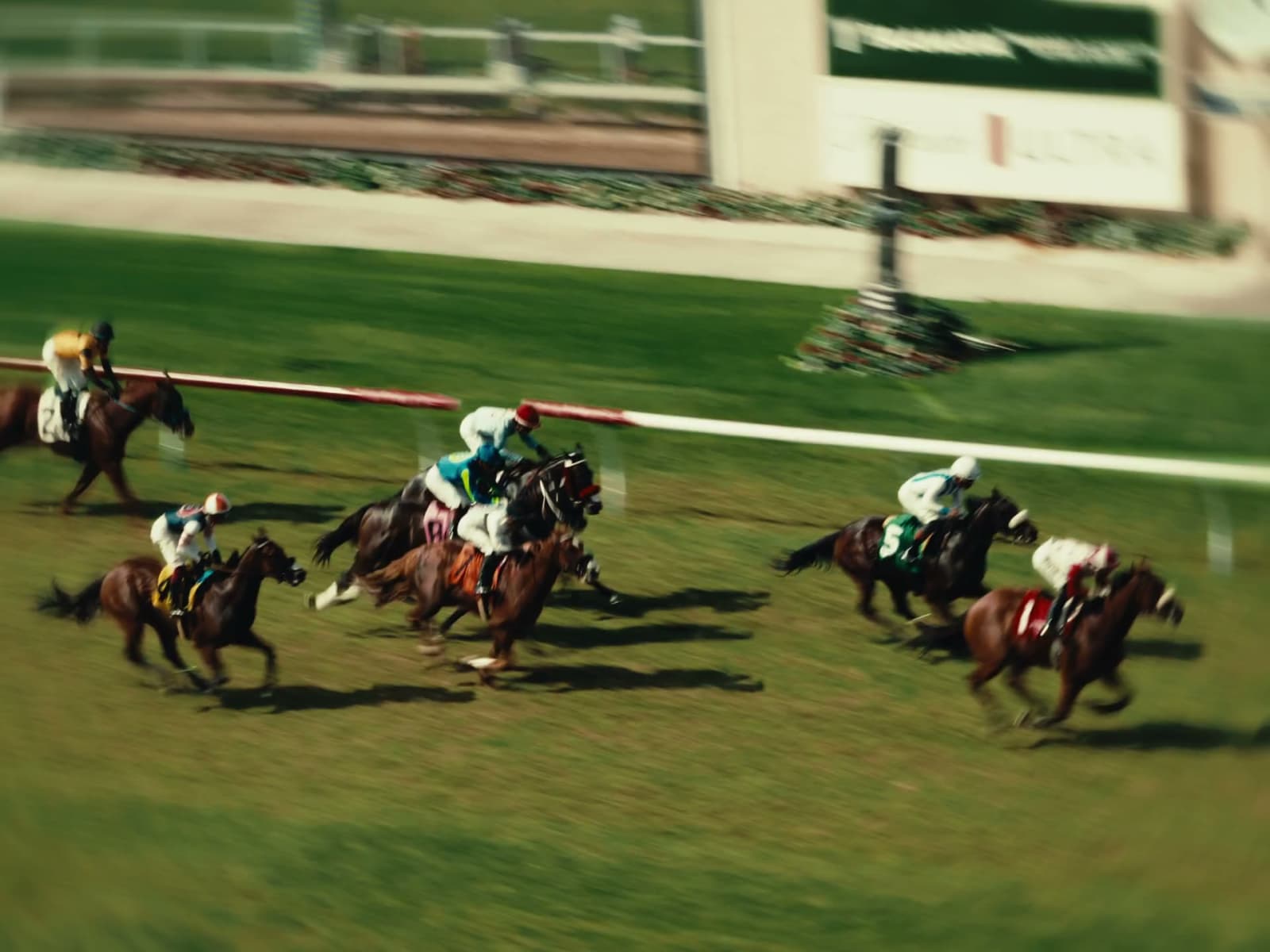 Day at the Races — Recap