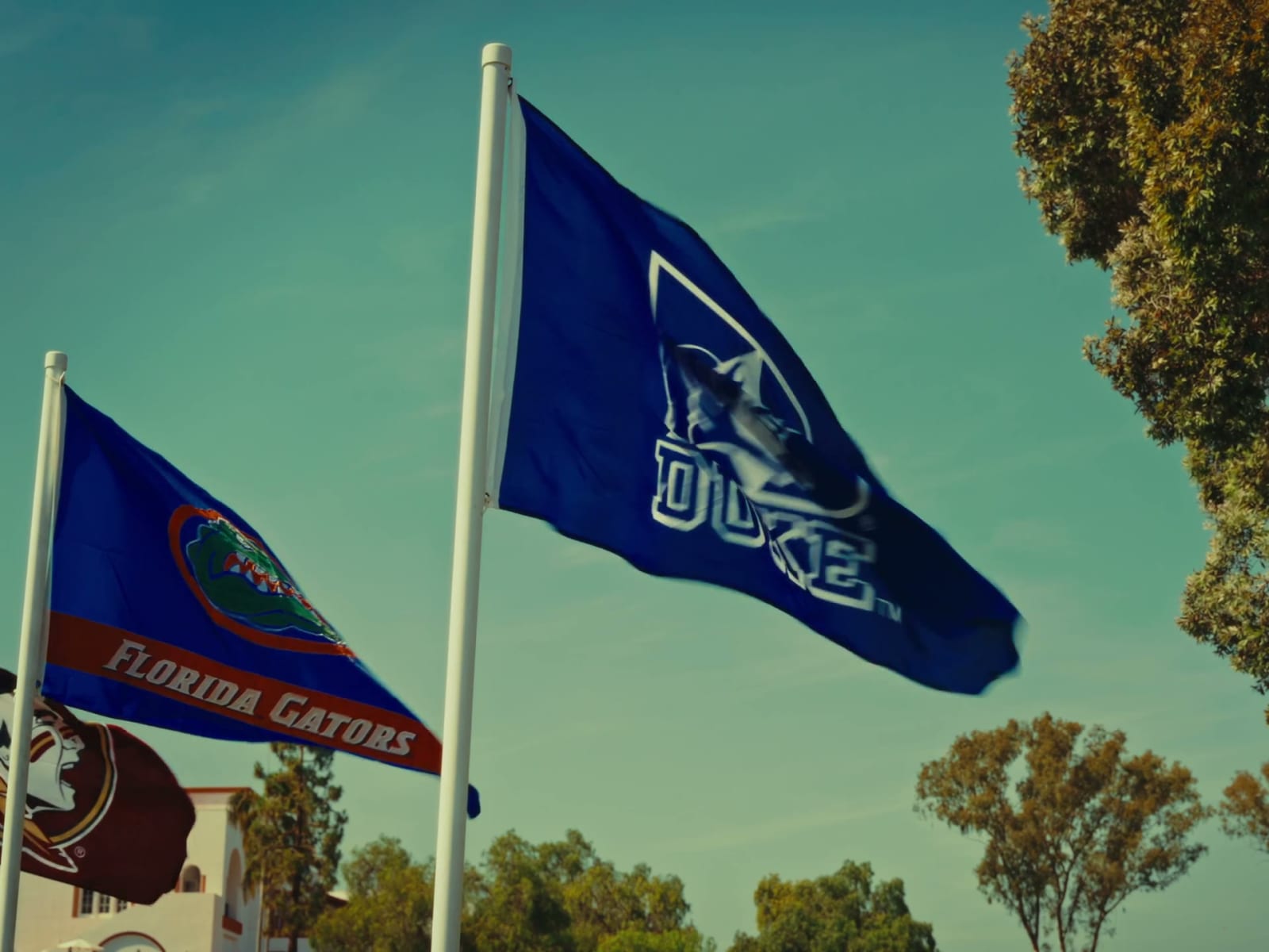 The Field — NCAA Golf Championships