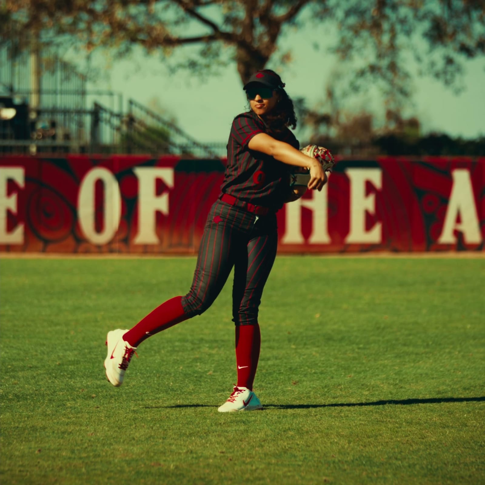 Colors — Aztec Softball