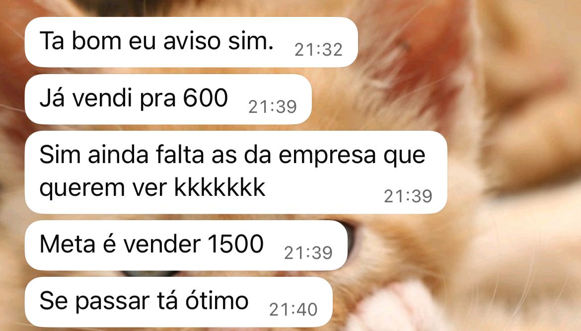Consultora