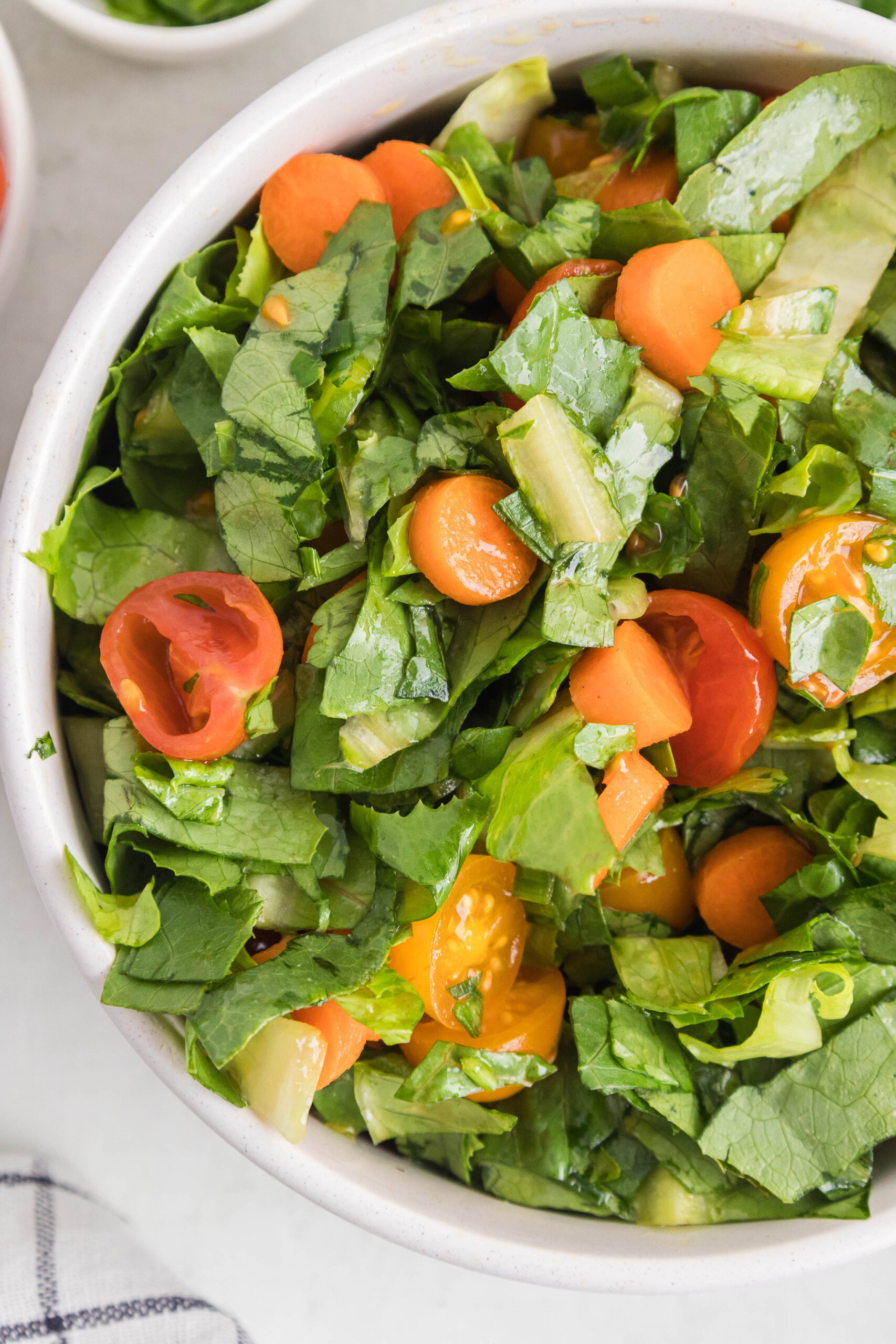 Garden Salad