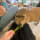 Alvin