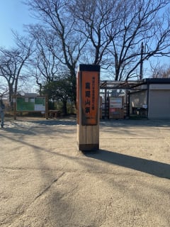 Natto