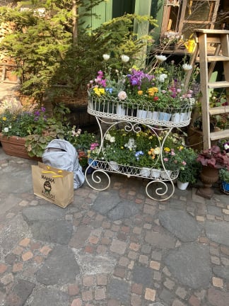 Ghibli museum