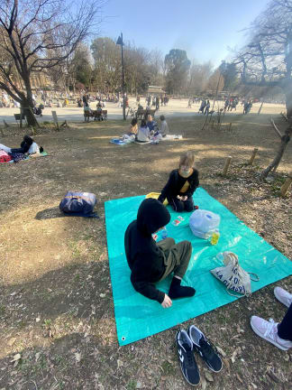 Piknik