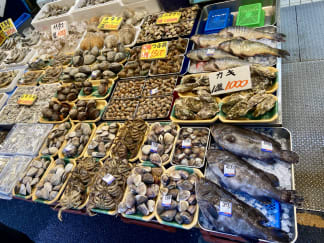 Fiskebutikk