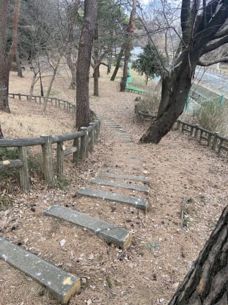 skzoo