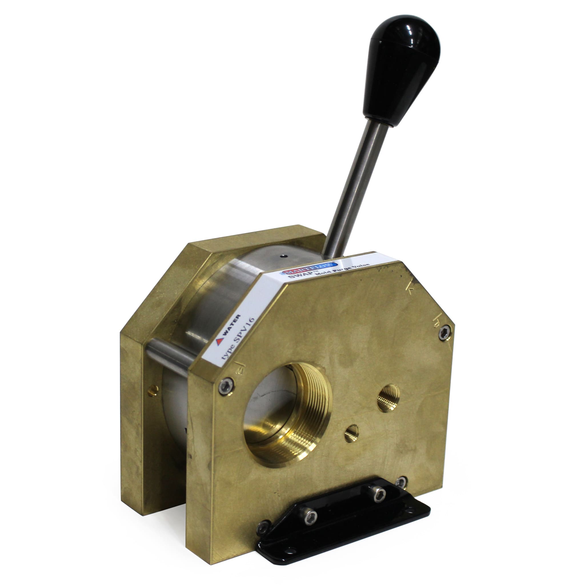 Swap Valve, 2" NPT, Brass Body, with Check Valve and Locking Pin