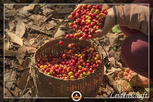 Vue 3 de Ct Cafe Grain De