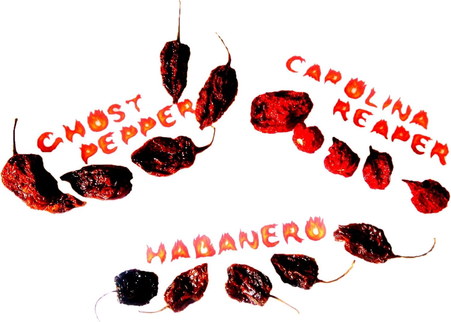 Amazseb Carolina Reaper
