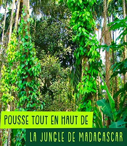 Vue 5 de Replant Poivre Sauvage De