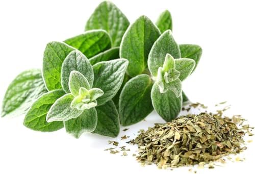 Vue 5 de Origan Grec Marinades Tomates