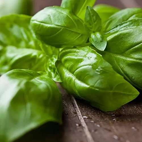 Vue 4 de Feuilles Basilic Séchées Utilisation