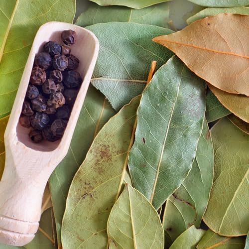 Vue 5 de Feuilles de Laurier Naturel Intenses