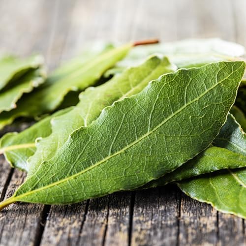 Vue 6 de Feuilles de Laurier Naturel Intenses