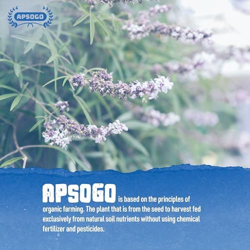 Vue 4 de Verveine Citronnelle Bio Infusion