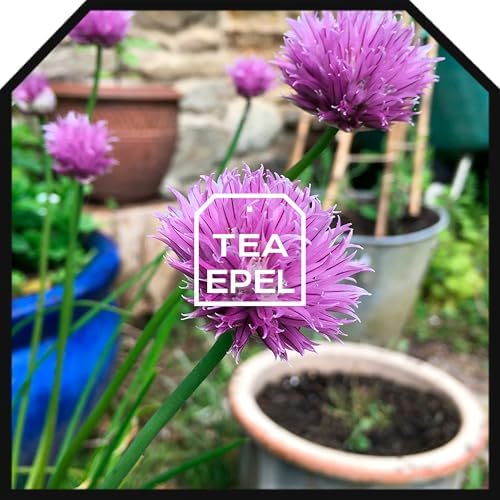 Vue 7 de Ciboulette Séchée Saveur Oignon