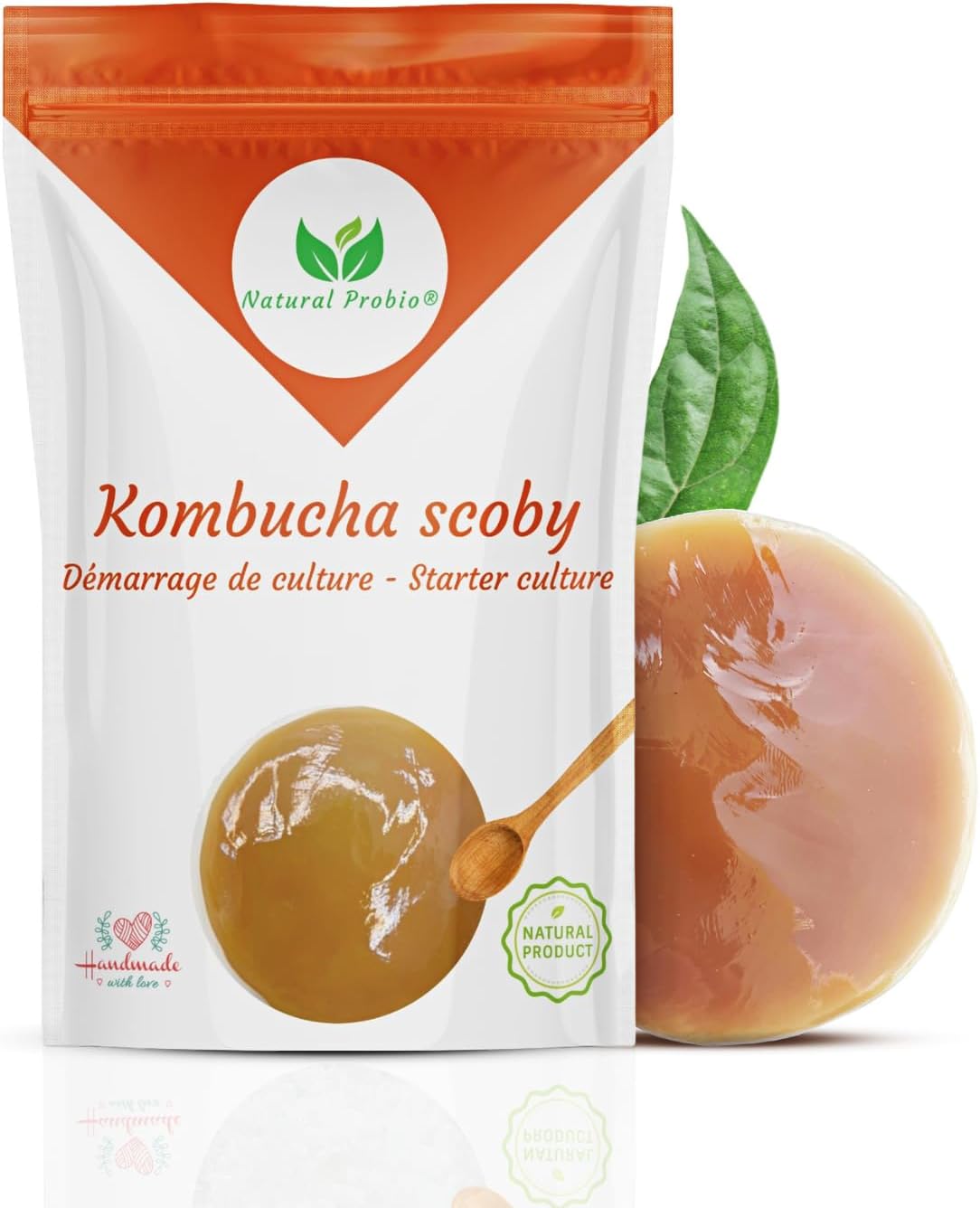 Original Kombucha Scoby Kit