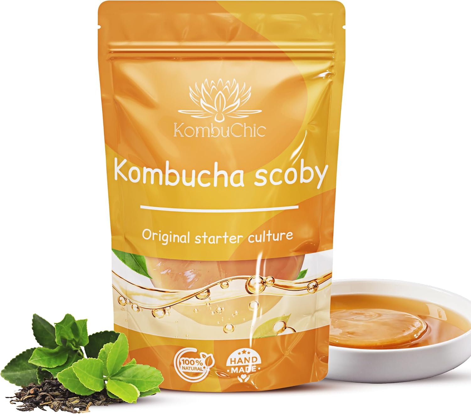 Kombucha Scoby Kit De
