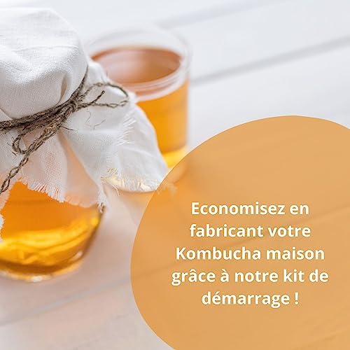Vue 4 de Kombucha Scoby Kit De