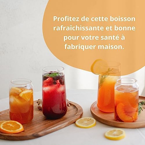 Vue 6 de Kombucha Scoby Kit De