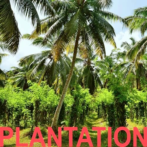 Vue 2 de Bio Xl Gousses De