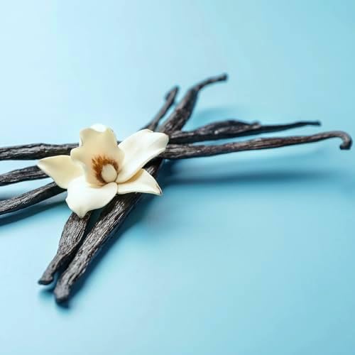 Vue 4 de Bio Xl Gousses De