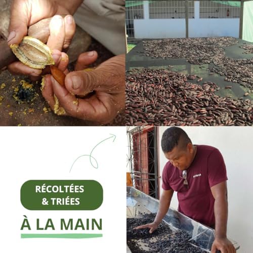 Vue 2 de La Brigade Des Epices