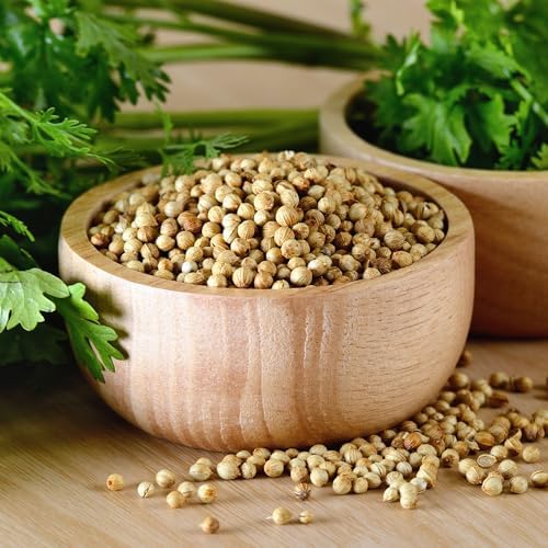 Vue 4 de Alpi Nature Coriandre Graine