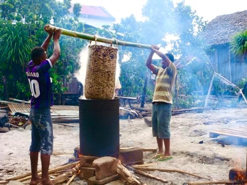 Vue 7 de Poudre De Vanille Premium