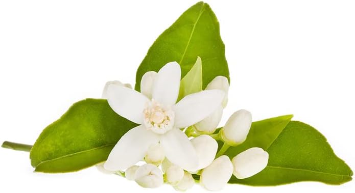 Vue 2 de Fleur Doranger Ml Hydrolat