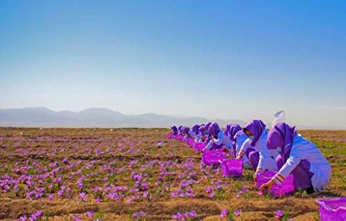 Vue 4 de Gourmetia Safran Gramme Safran